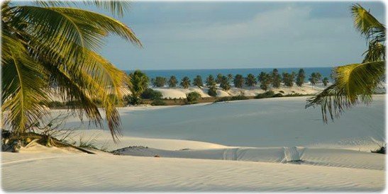 https://www.bahiaencantadatour.com.br/services/uploads/_original/passeio-mangue-seco-408006.jpg