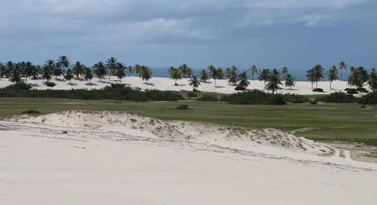 https://www.bahiaencantadatour.com.br/services/uploads/_original/passeio-mangue-seco-587425.jpg
