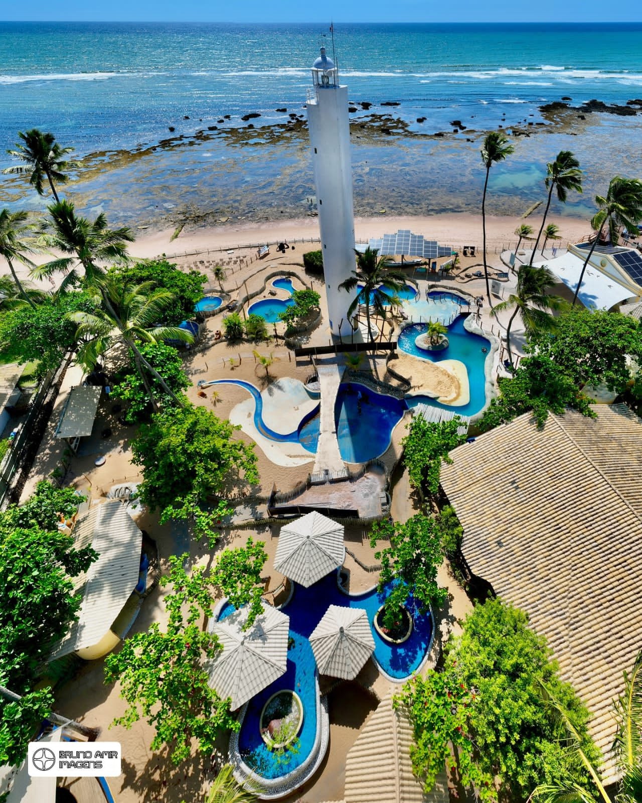 https://www.bahiaencantadatour.com.br/services/uploads/_original/passeio-praia-do-forte-949020.jpg